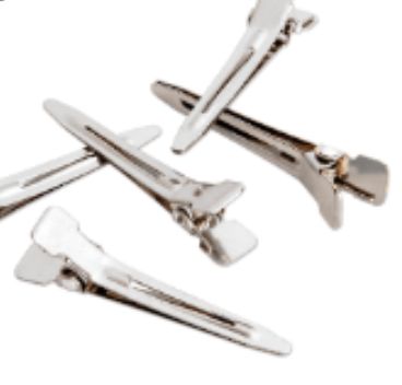 Single Prong Pin Curl clips