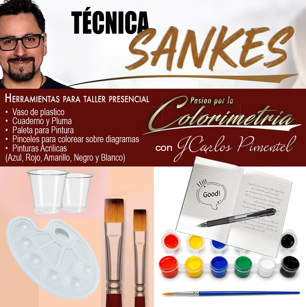 TALLER TÉCNICA SANKES